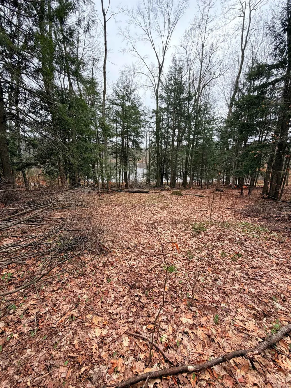 3 Woodland Trail Almira Township, MI 49684