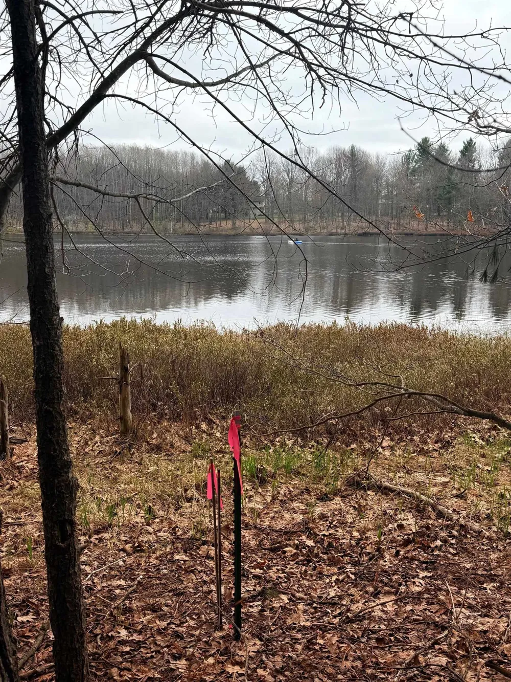 3 Woodland Trail Almira Township, MI 49684