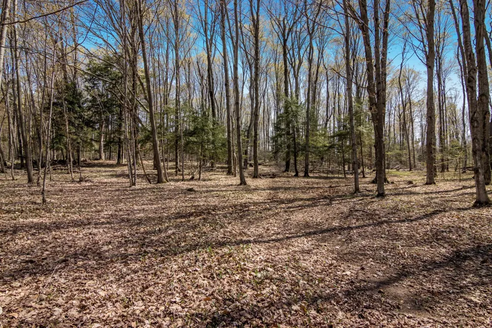 3 Woodland Trail Almira Township, MI 49684