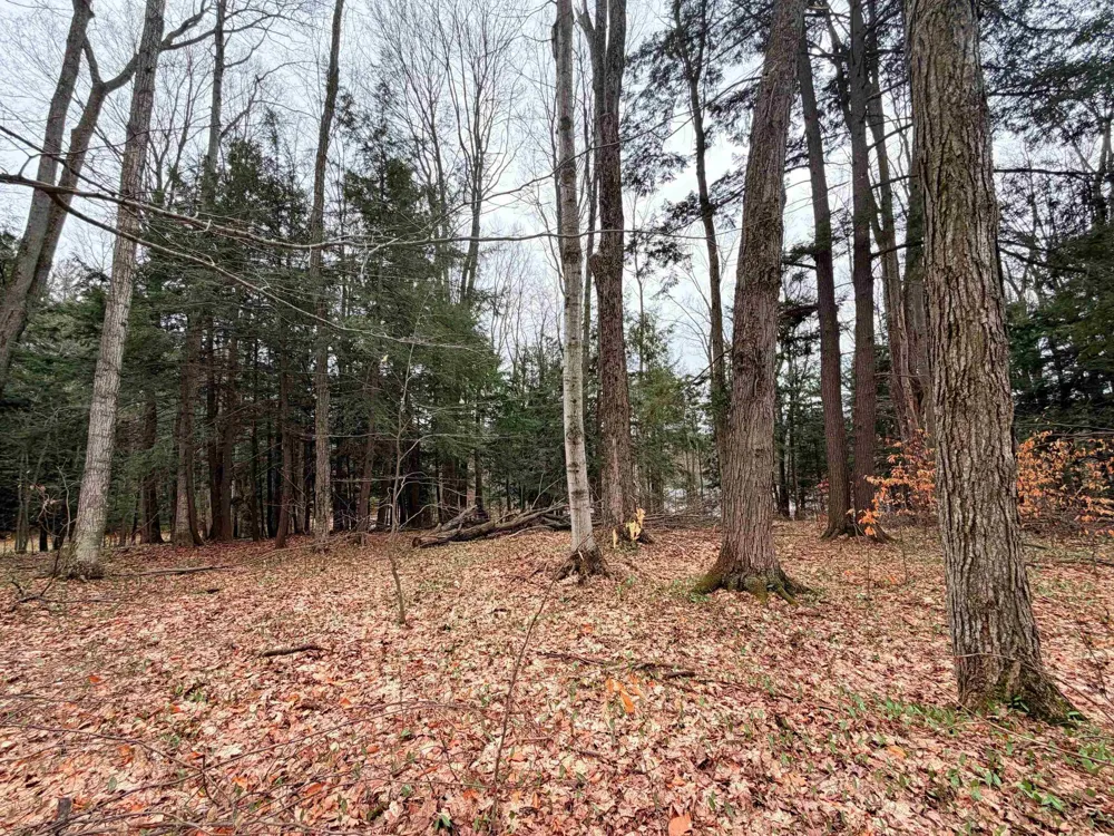 3 Woodland Trail Almira Township, MI 49684