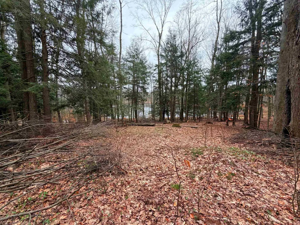 3 Woodland Trail Almira Township, MI 49684
