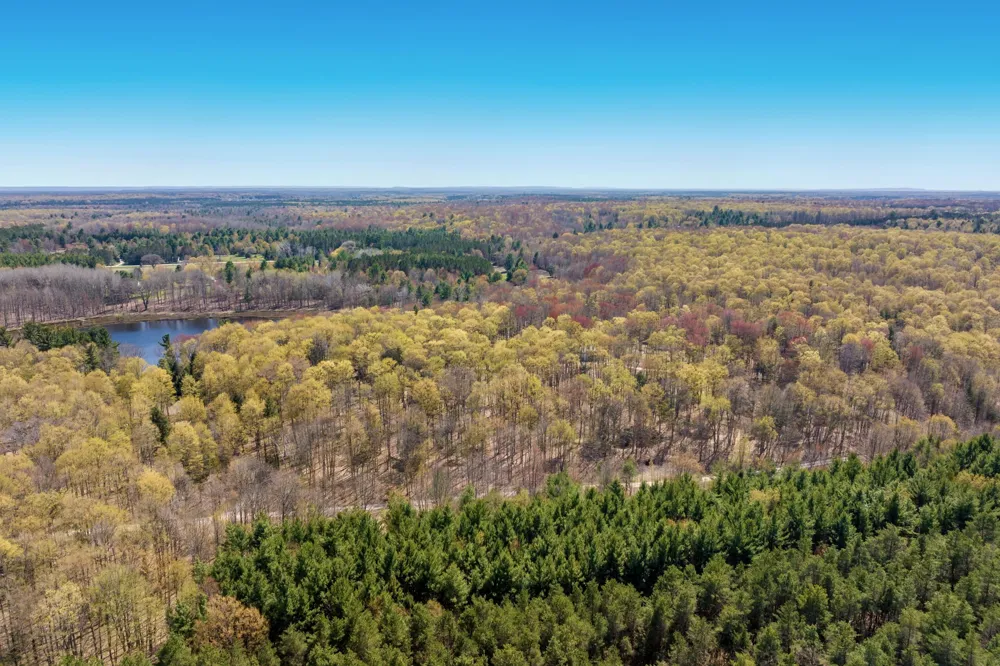 3 Woodland Trail Almira Township, MI 49684