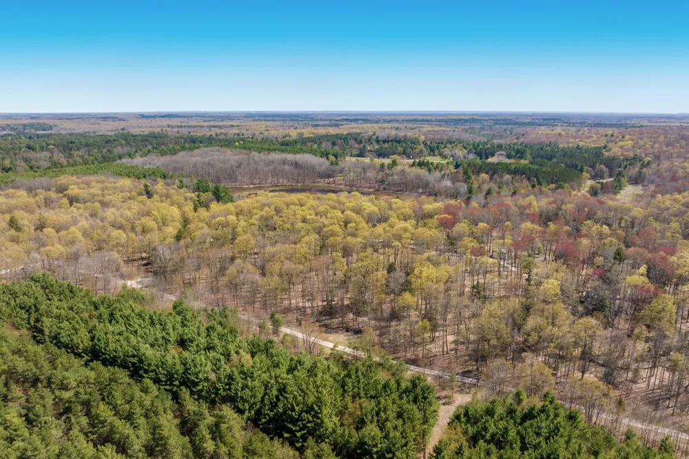 3 Woodland Trail Almira Township, MI 49684