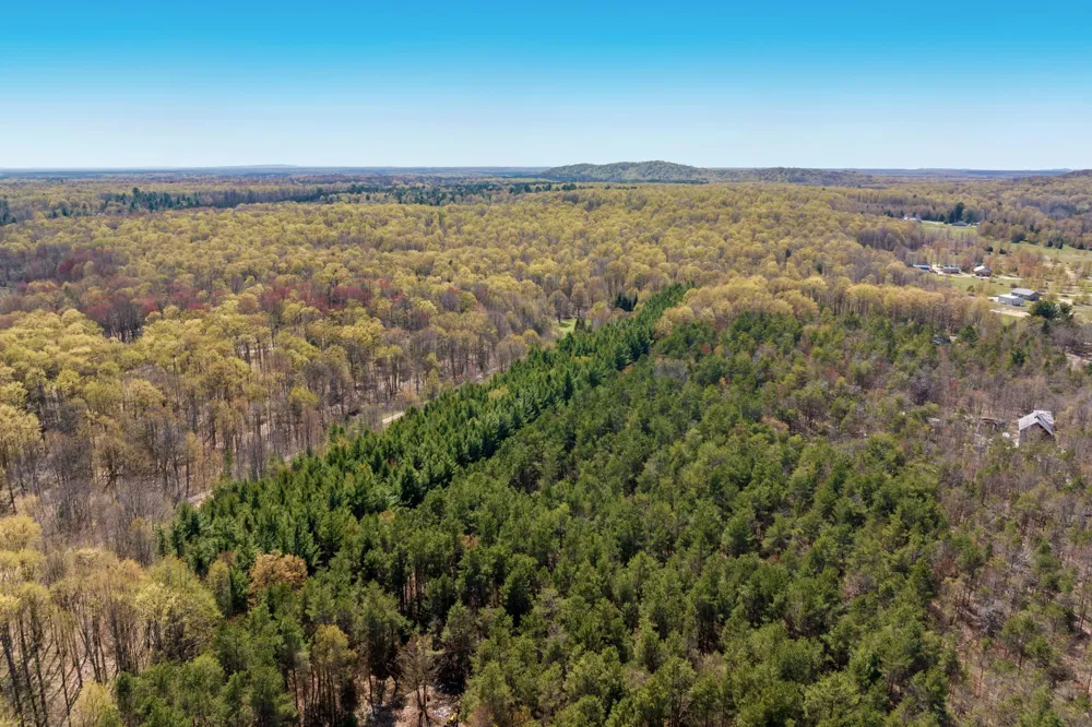 3 Woodland Trail Almira Township, MI 49684
