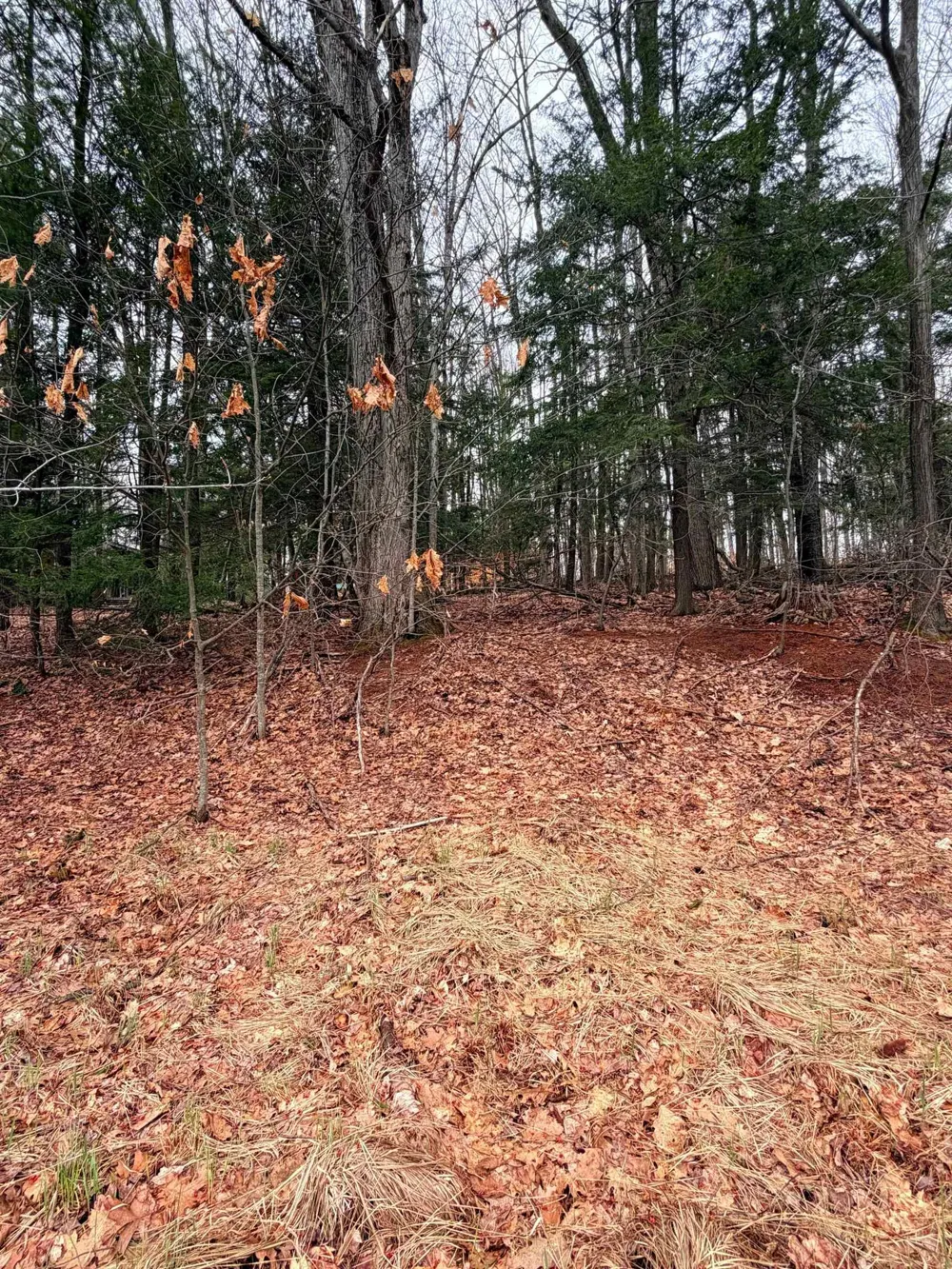 3 Woodland Trail Almira Township, MI 49684