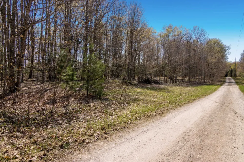 3 Woodland Trail Almira Township, MI 49684