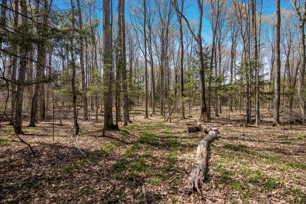 3 Woodland Trail Almira Township, MI 49684