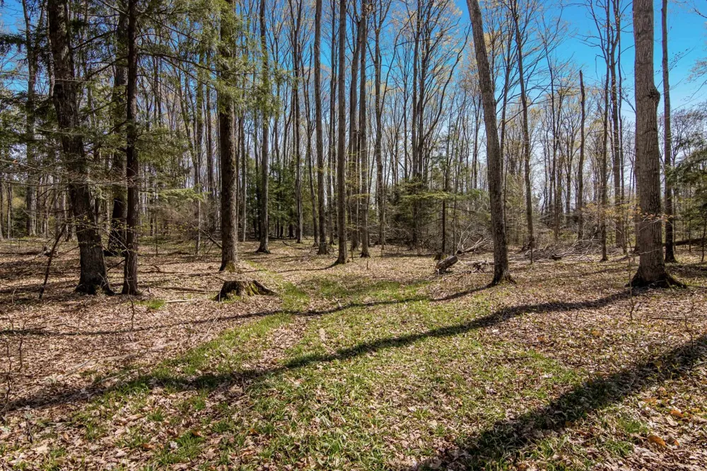 3 Woodland Trail Almira Township, MI 49684