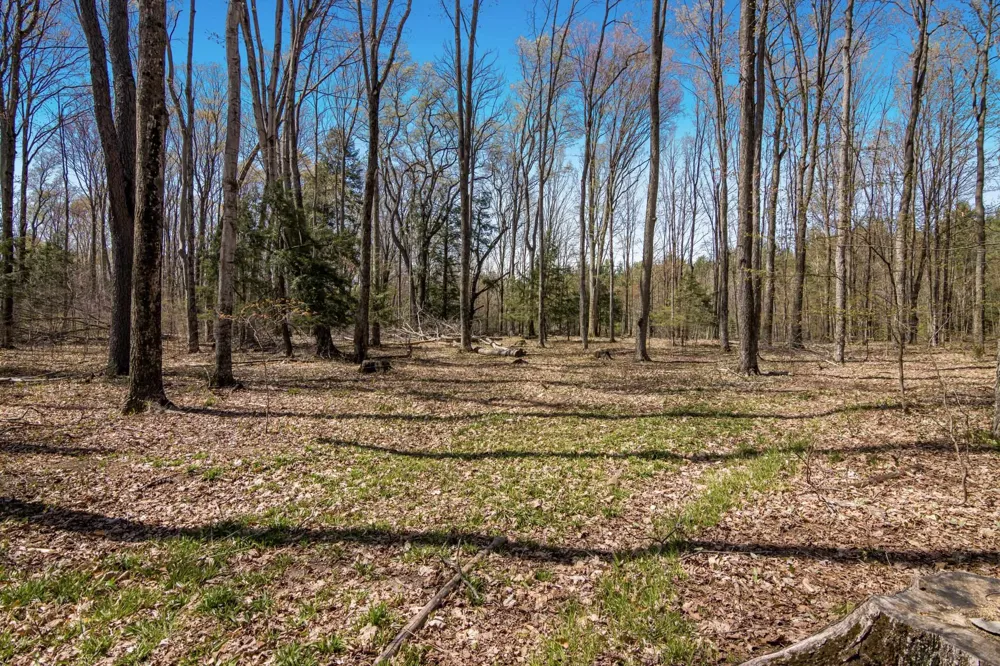 3 Woodland Trail Almira Township, MI 49684