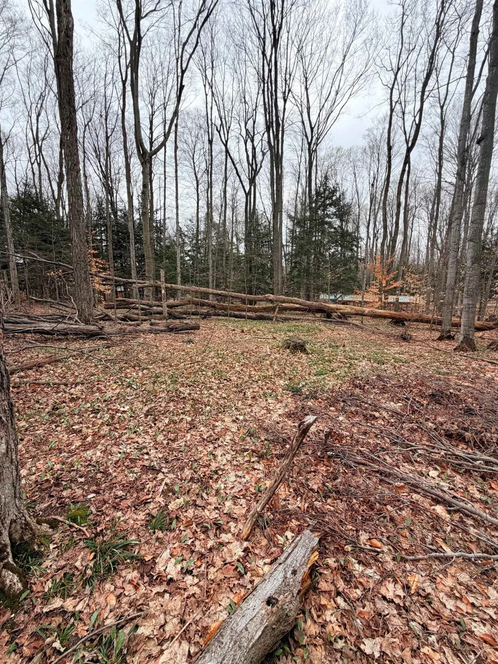 3 Woodland Trail Almira Township, MI 49684