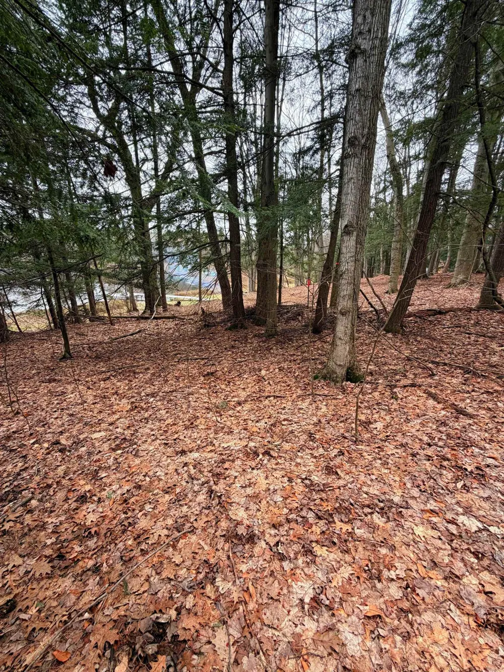 3 Woodland Trail Almira Township, MI 49684