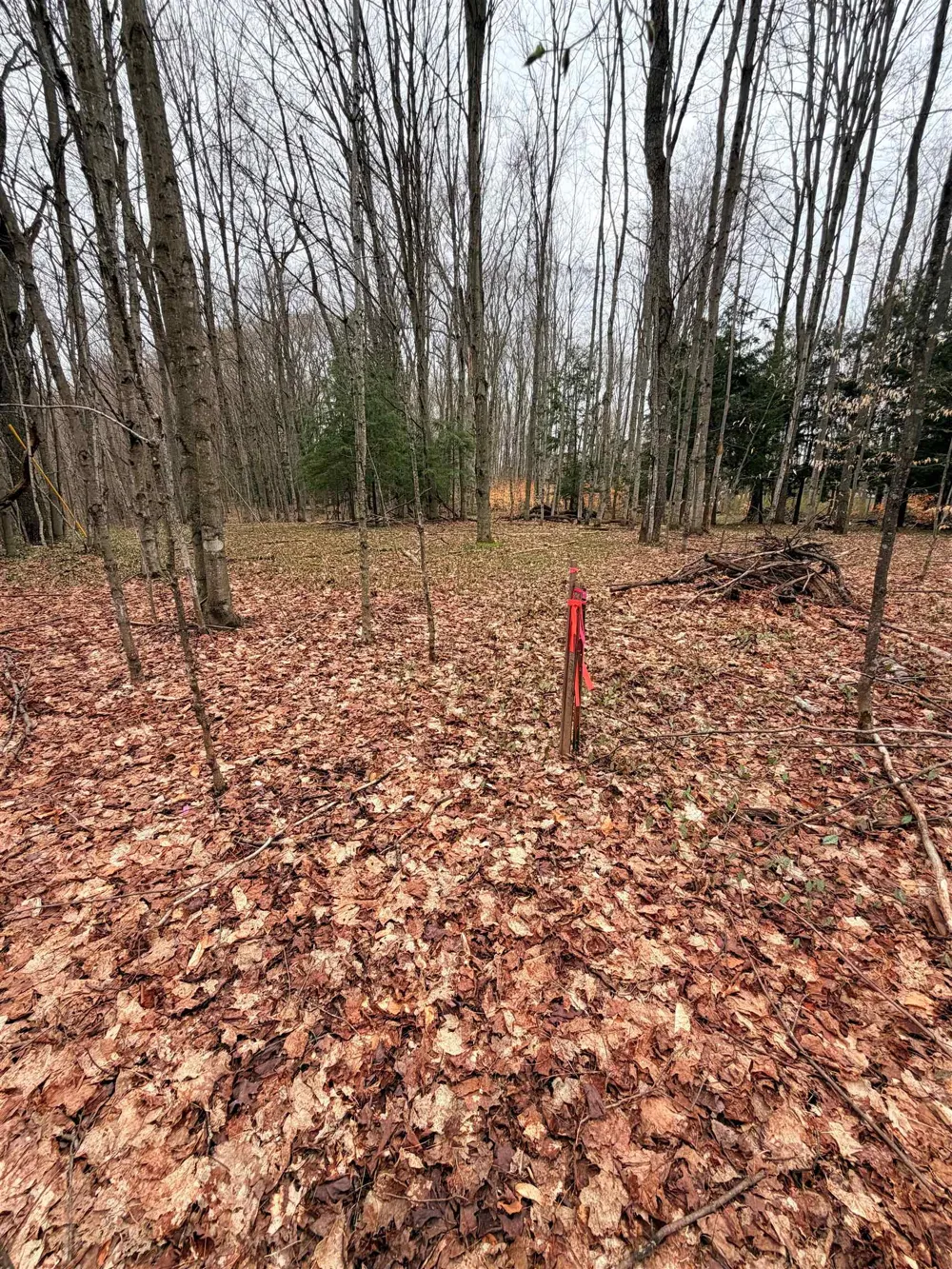 3 Woodland Trail Almira Township, MI 49684