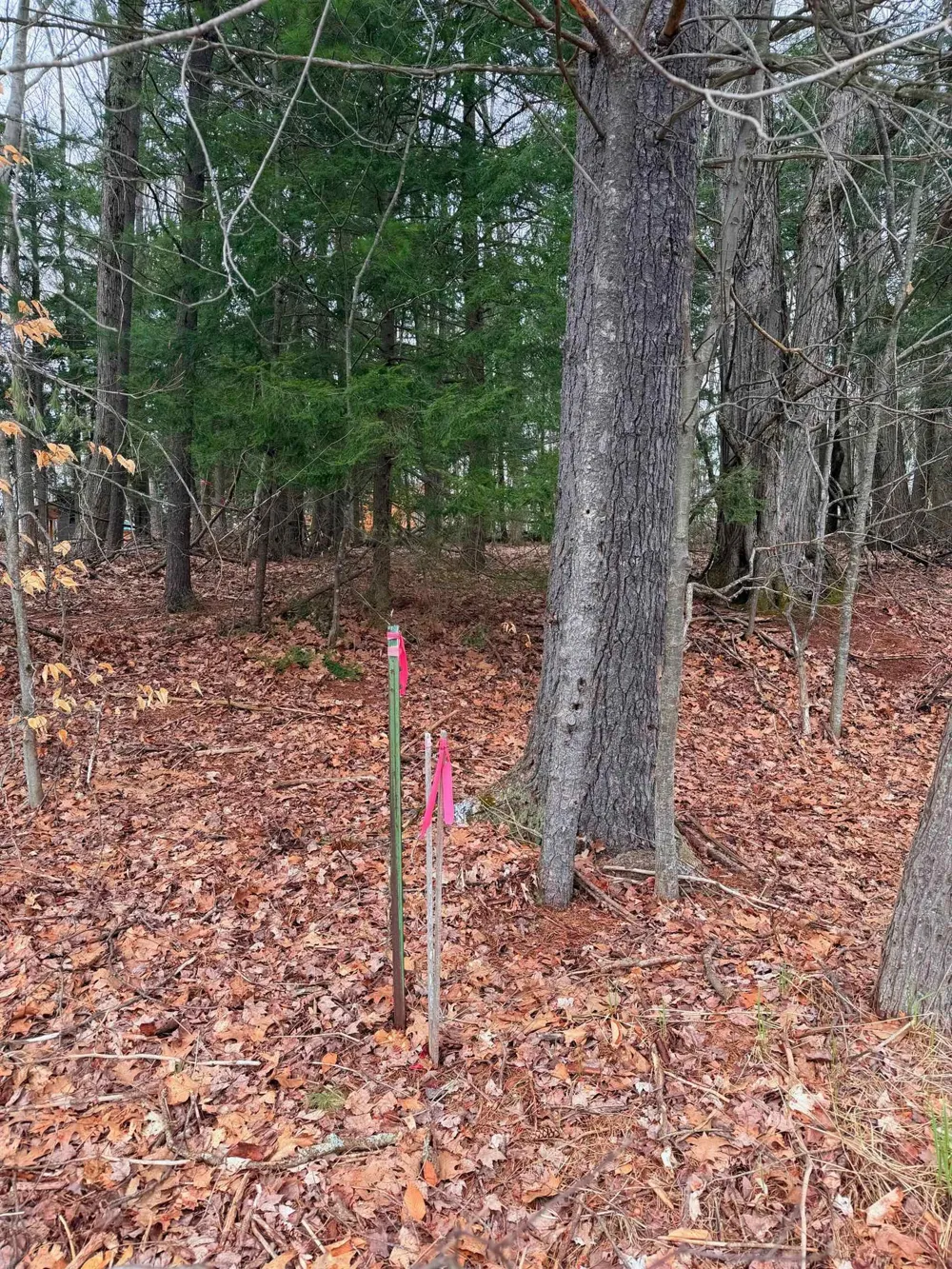 3 Woodland Trail Almira Township, MI 49684