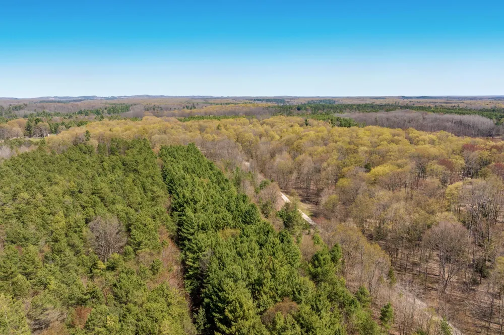 3 Woodland Trail Almira Township, MI 49684