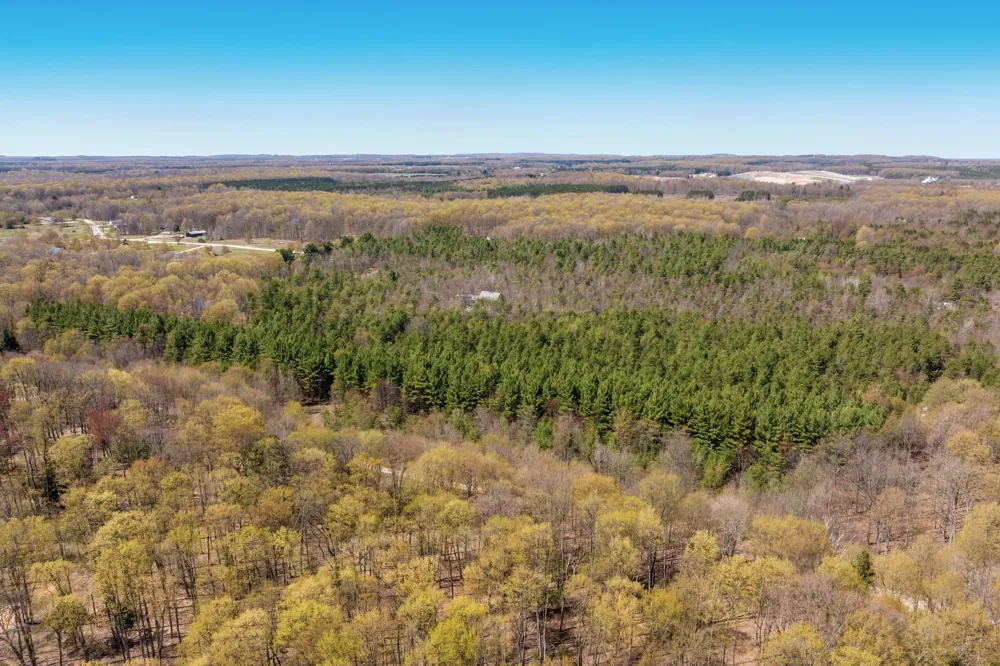 3 Woodland Trail Almira Township, MI 49684