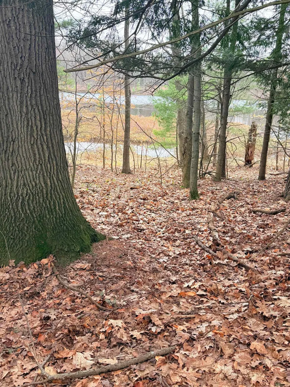 3 Woodland Trail Almira Township, MI 49684