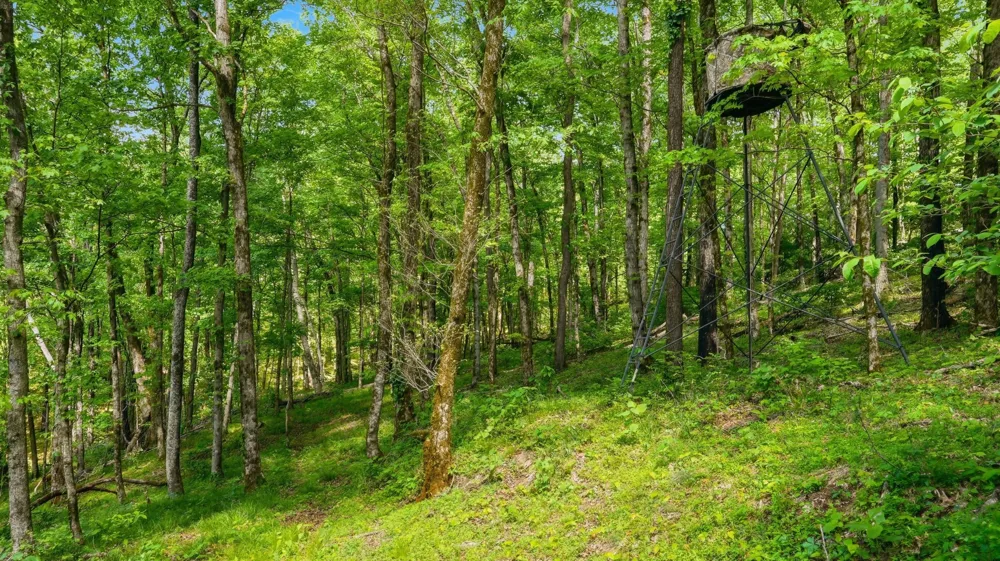 2699 Brooks Bend Ln Gainesboro, TN 38562