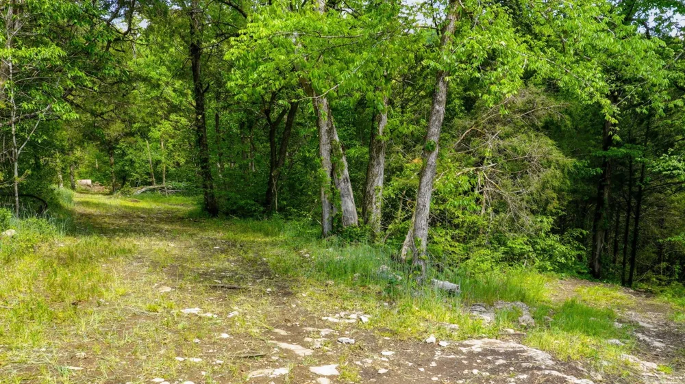 2699 Brooks Bend Ln Gainesboro, TN 38562