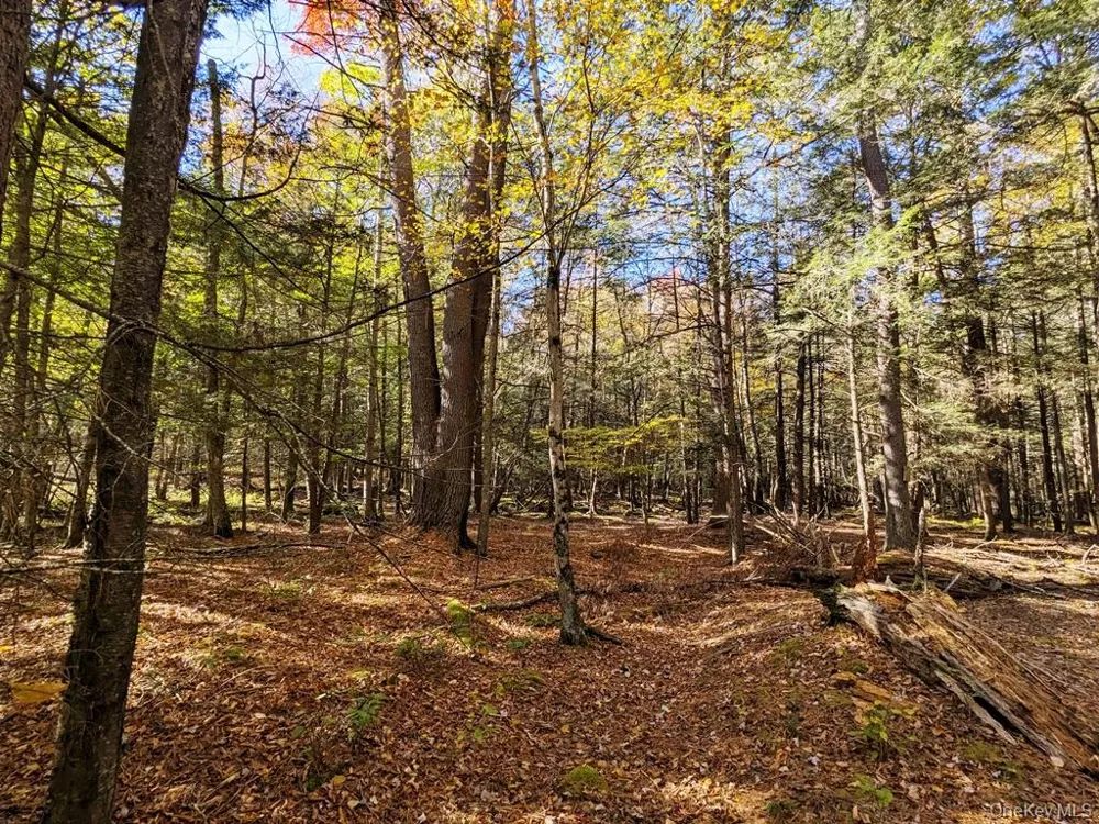 Moscoe Road Bethel, NY 12786