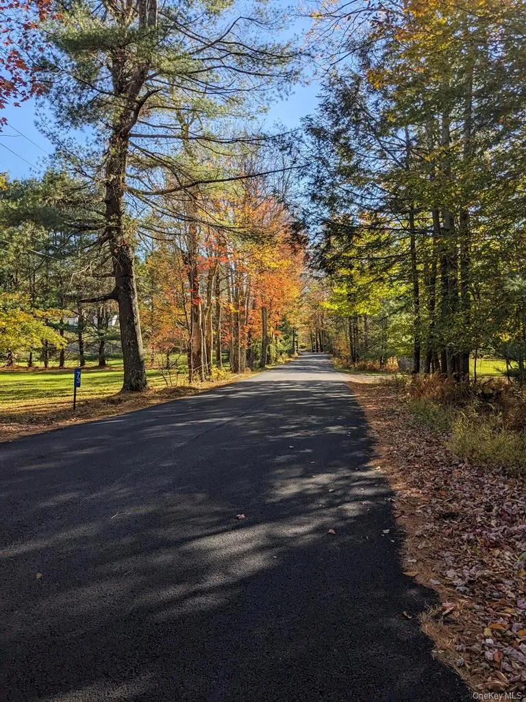 Moscoe Road Bethel, NY 12786