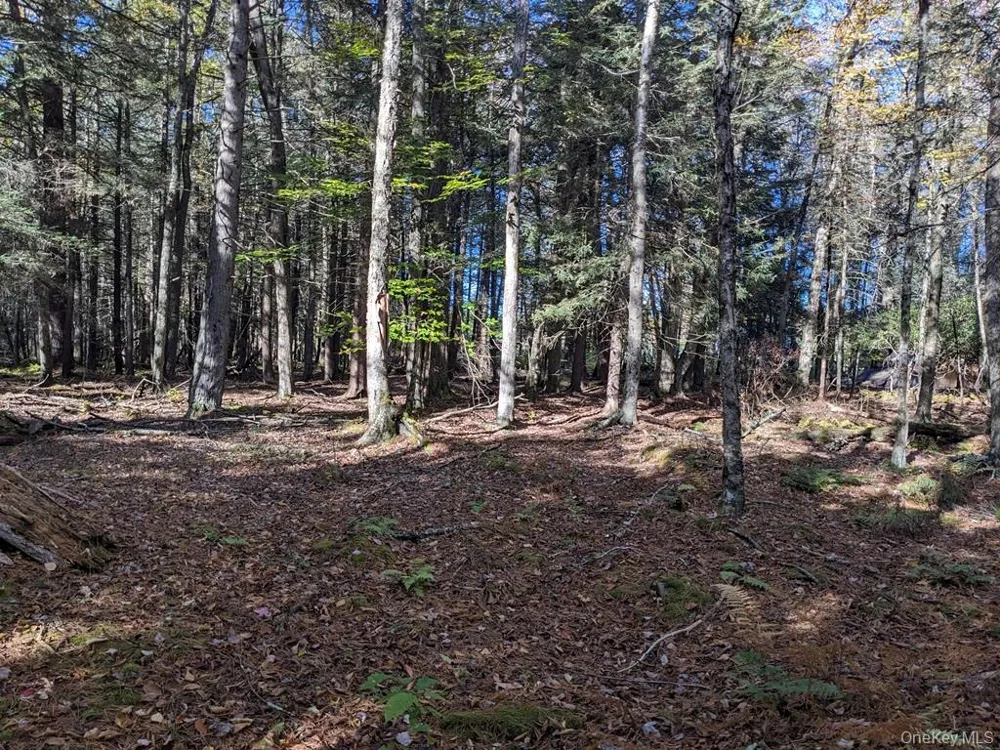 Moscoe Road Bethel, NY 12786
