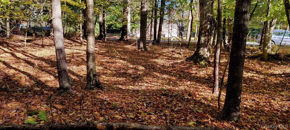Moscoe Road Bethel, NY 12786