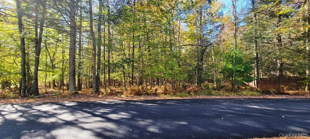 Moscoe Road Bethel, NY 12786