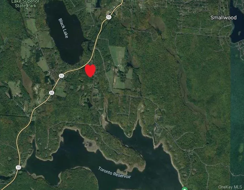 Moscoe Road Bethel, NY 12786