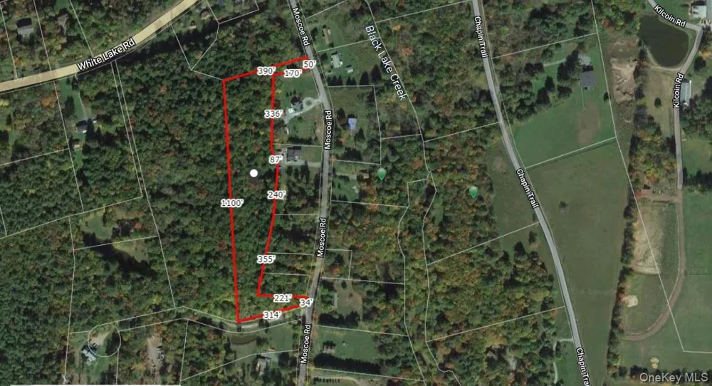 Moscoe Road Bethel, NY 12786