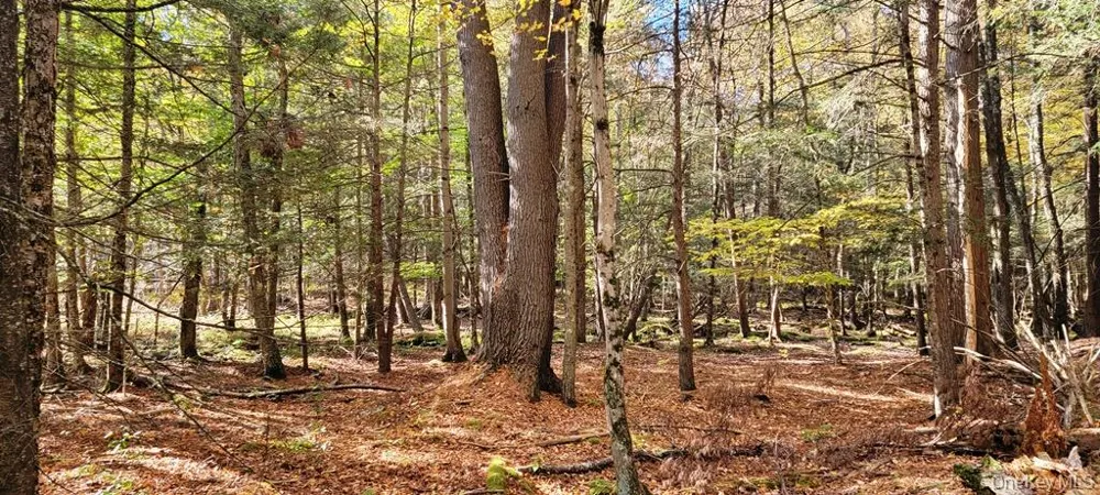 Moscoe Road Bethel, NY 12786