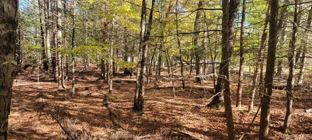 Moscoe Road Bethel, NY 12786