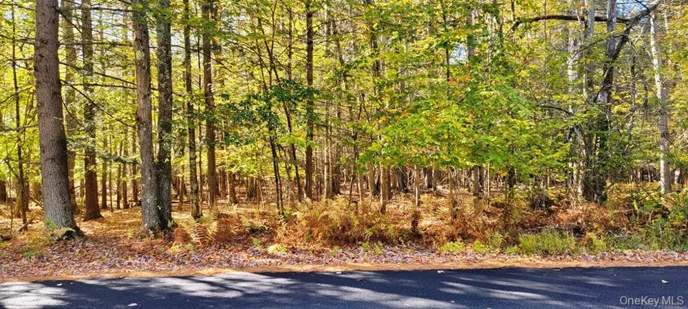 Moscoe Road Bethel, NY 12786