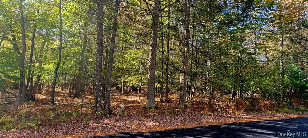 Moscoe Road Bethel, NY 12786