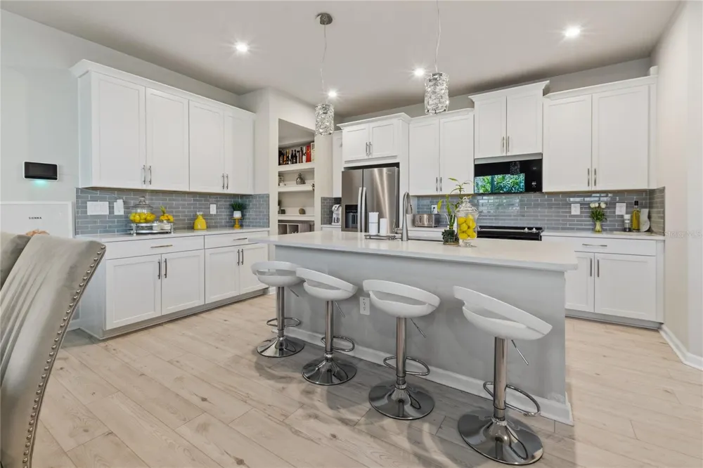 4062 CLOUD HOPPER WAY Lutz, FL 33559