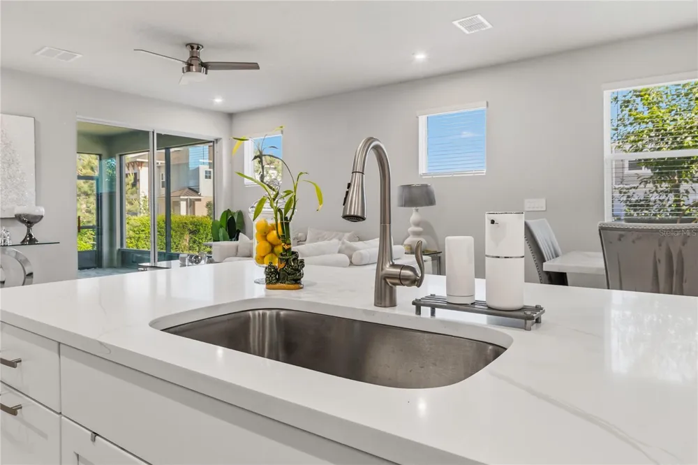 4062 CLOUD HOPPER WAY Lutz, FL 33559