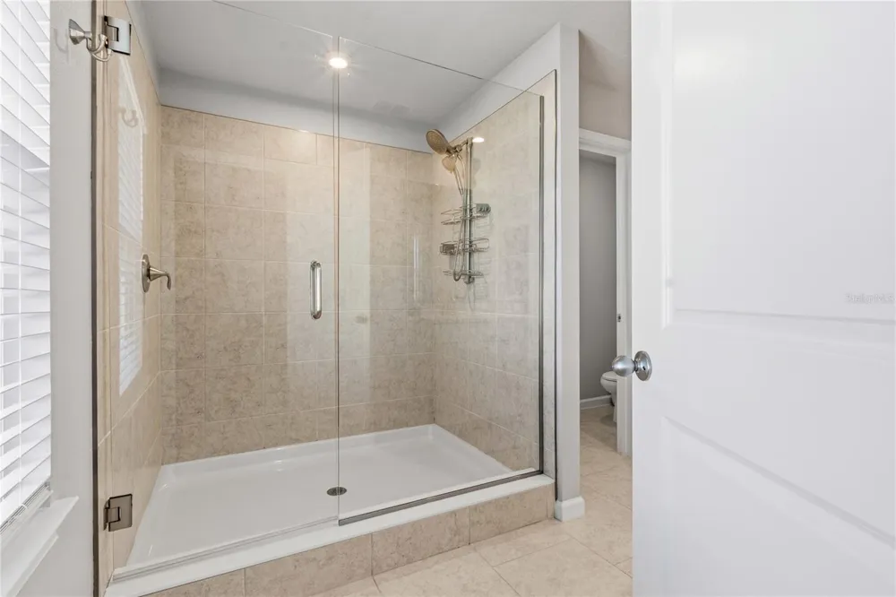 4062 CLOUD HOPPER WAY Lutz, FL 33559