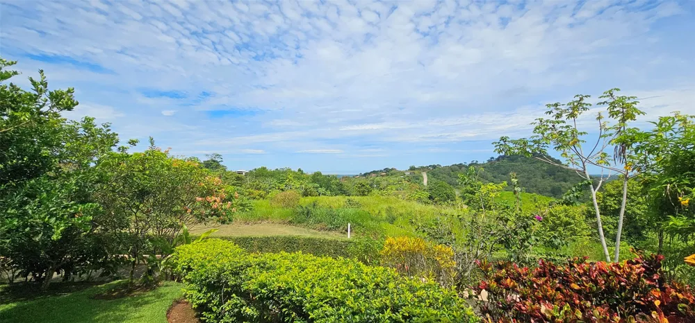 Exceptional Ocean, Jungle and Mountain Views! Out of State, OS 60504