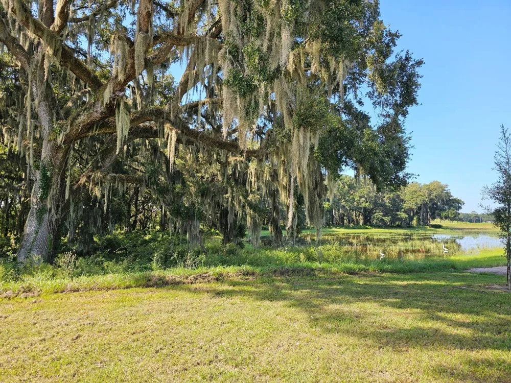 3019 BILTMORE LANE Wildwood, FL 34785
