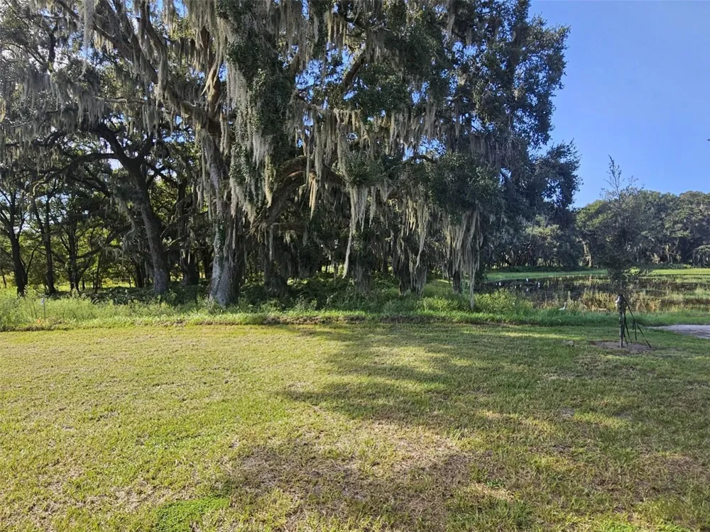 3019 BILTMORE LANE Wildwood, FL 34785