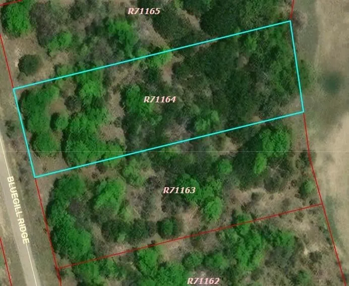 1015 Bluegill Ridge Bluff Dale, TX 76433