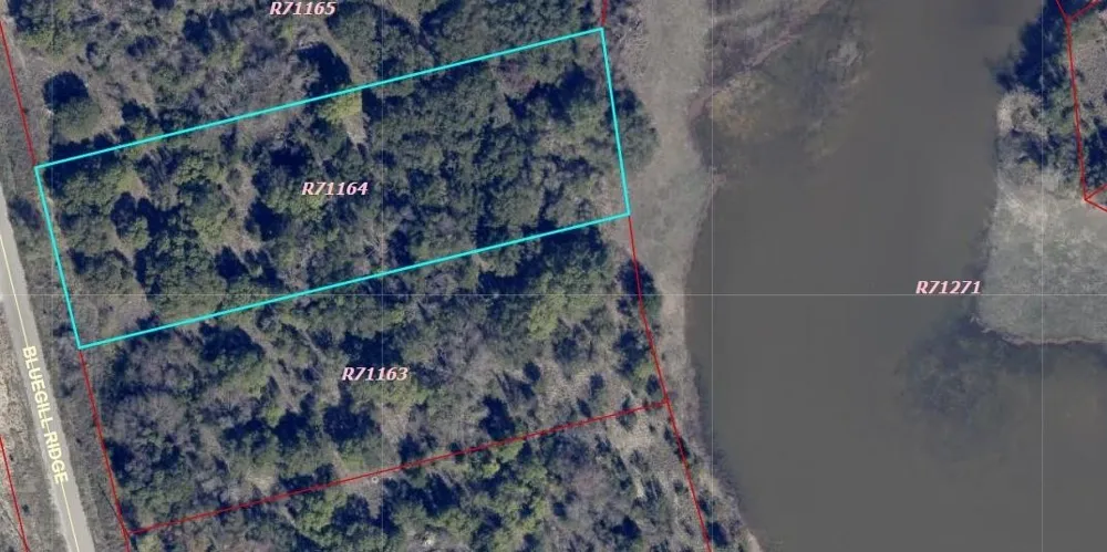 1015 Bluegill Ridge Bluff Dale, TX 76433