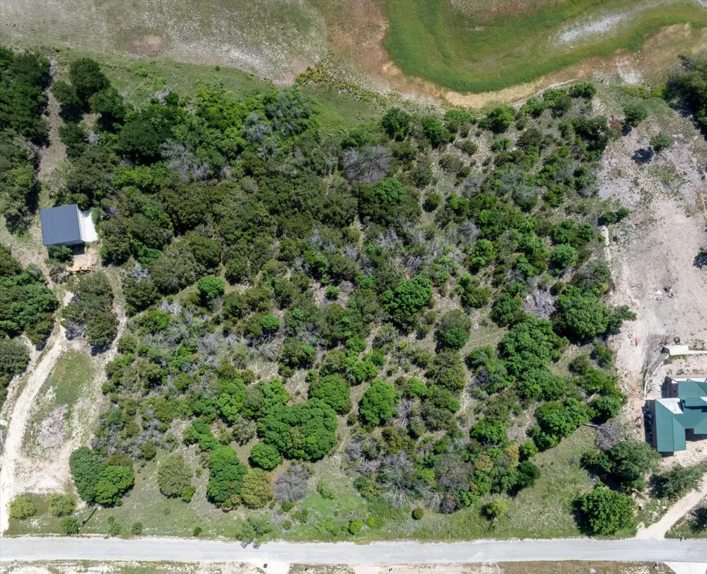 1015 Bluegill Ridge Bluff Dale, TX 76433