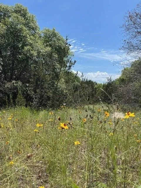 1065 Bluegill Ridge Bluff Dale, TX 76433