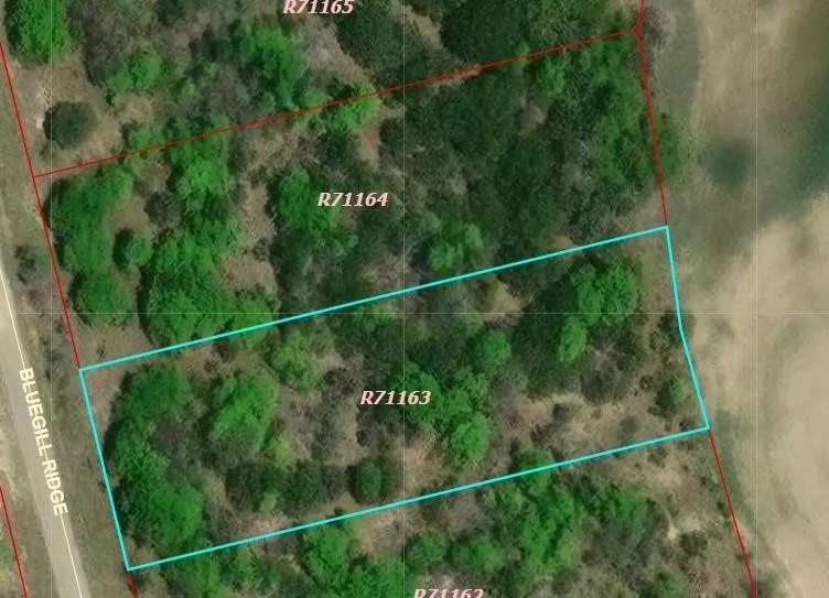 1065 Bluegill Ridge Bluff Dale, TX 76433