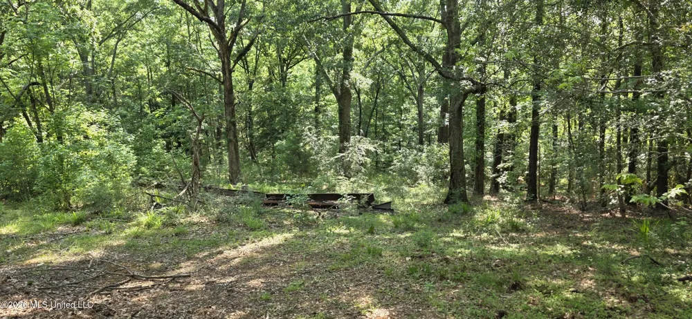 357 SE Nations Brookhaven, MS 39601