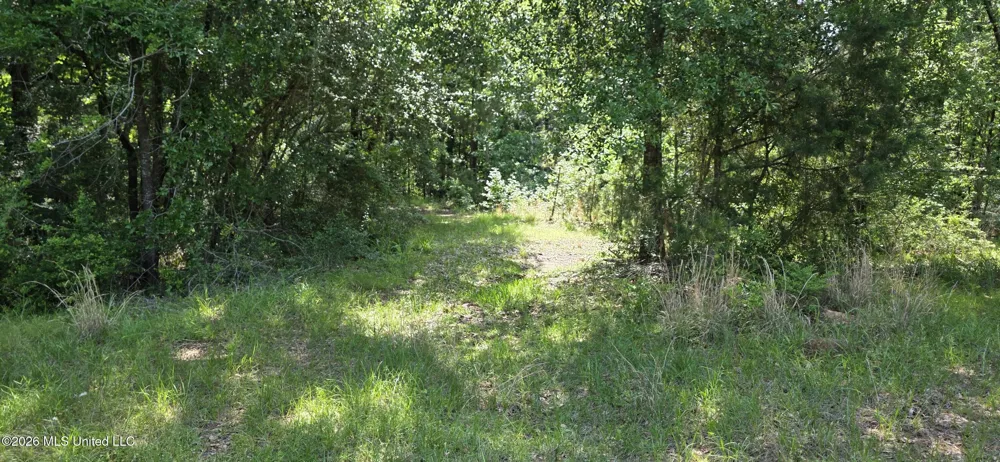 357 SE Nations Brookhaven, MS 39601