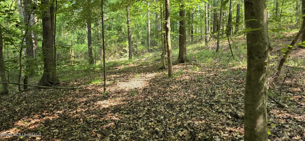 357 SE Nations Brookhaven, MS 39601