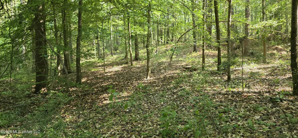 357 SE Nations Brookhaven, MS 39601