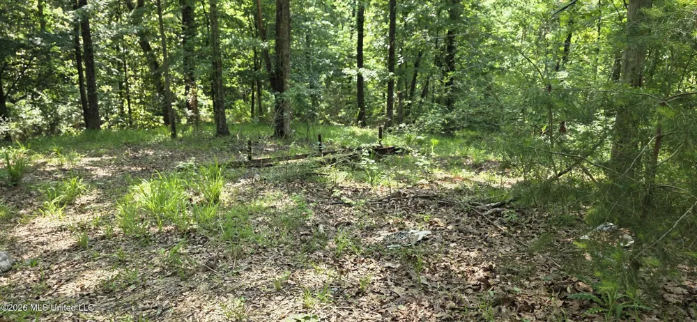 357 SE Nations Brookhaven, MS 39601