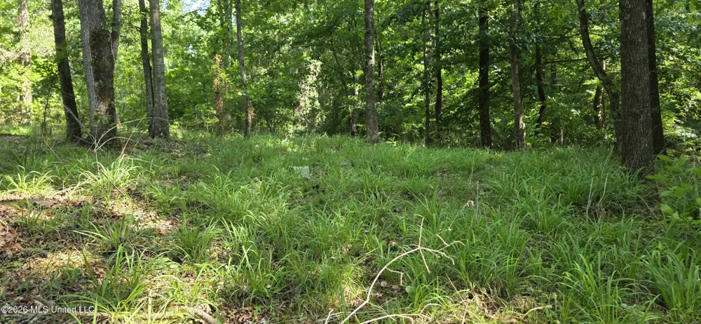 357 SE Nations Brookhaven, MS 39601